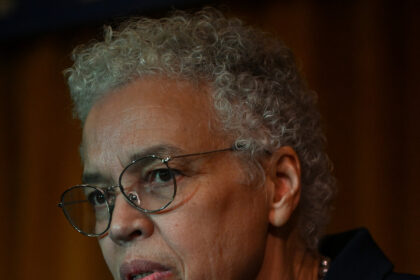 17pol-illinois-cook-county-hfo-preckwinkle-mfwq-mediumSquareAt3X