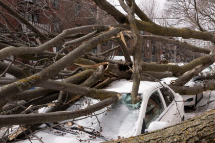 19cli-warning-signsnew-02-tvhm-mediumSquareAt3X-2