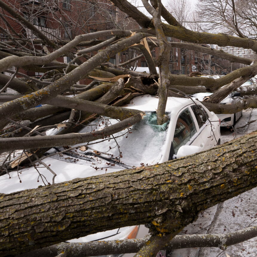 19cli-warning-signsnew-02-tvhm-mediumSquareAt3X-3