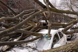 19cli-warning-signsnew-02-tvhm-mediumSquareAt3X