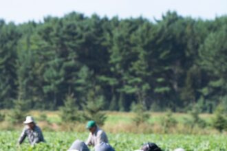 2U7JF55CUND3TLTDOU57BO3JAE