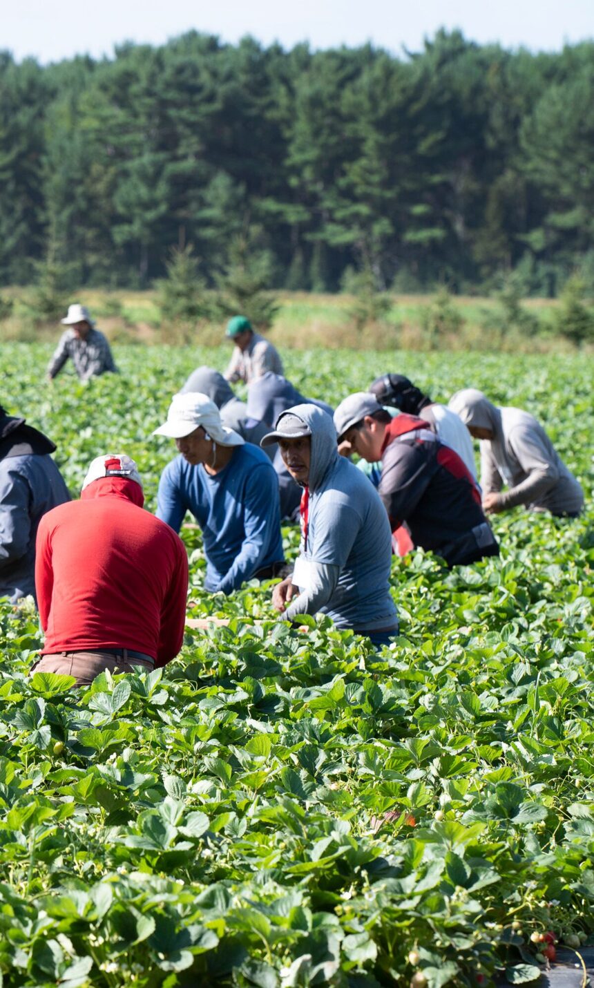 2U7JF55CUND3TLTDOU57BO3JAE