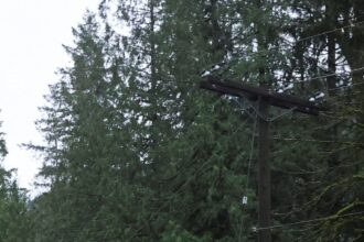 3QGANA7YIFEUPMXXAC3GYM3VGU