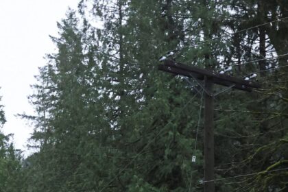 3QGANA7YIFEUPMXXAC3GYM3VGU