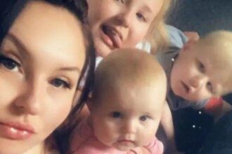 3d46d720-cb8f-11f0-8b24-8191145688b1