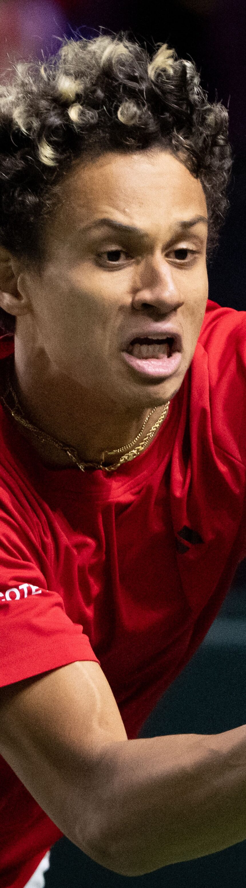 4GNVBH44CBEJJLL2V4MAK54REQ