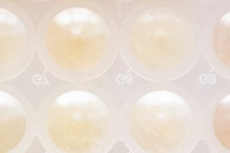 6465WXV75JC7HMAR6BUG3UPPPY-1