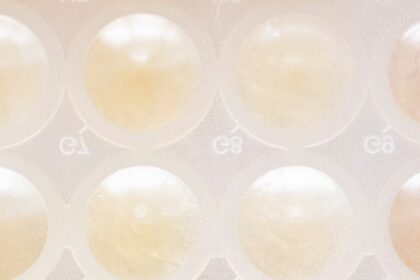 6465WXV75JC7HMAR6BUG3UPPPY-1