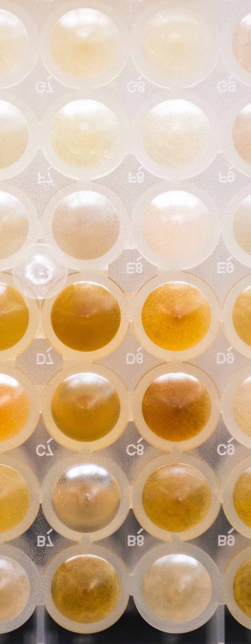 6465WXV75JC7HMAR6BUG3UPPPY-1