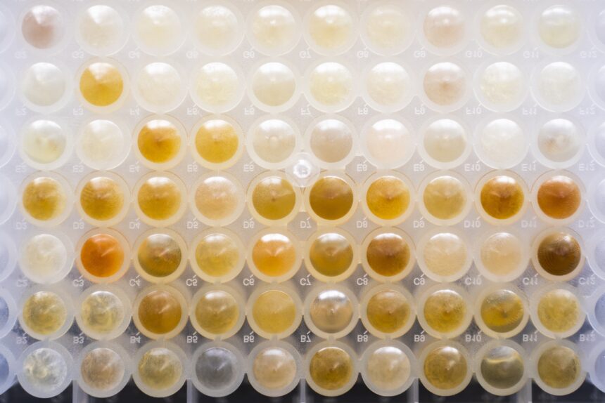 6465WXV75JC7HMAR6BUG3UPPPY