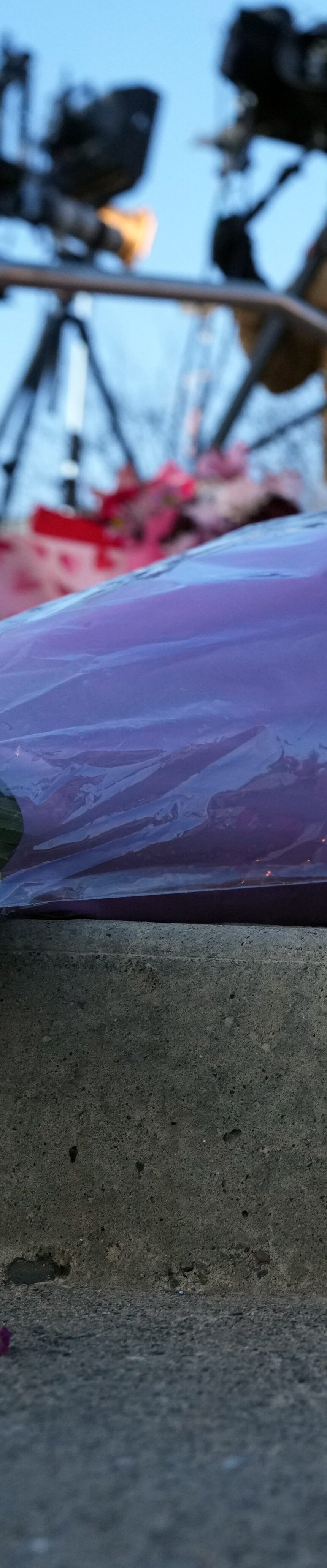 66JTXPNLSVDBBPDF2ROOPHHJDM-1