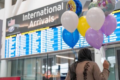 69ac6113d2c22.image_