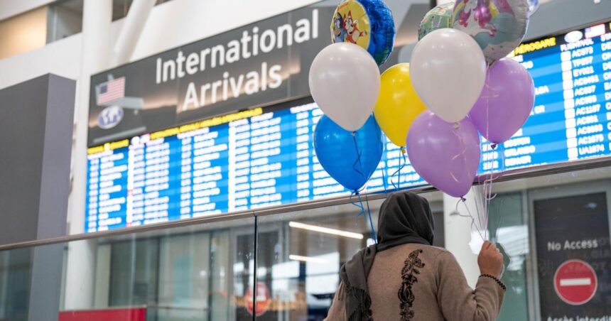 69ac6113d2c22.image_