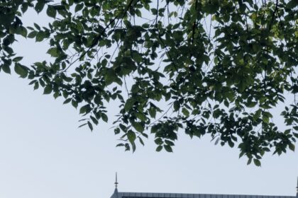 7MHN3VU7UJFTPDNEAZ4J7VH7ZA