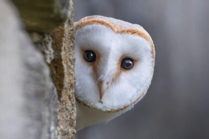 7cdf0250-1c74-11f1-a7bf-efb6e72f87e6-18