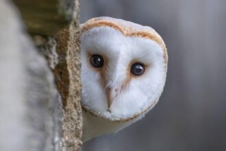 7cdf0250-1c74-11f1-a7bf-efb6e72f87e6-6