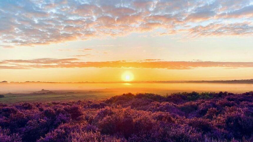 9f199ac0-17b9-11f1-9c22-99724fe2ca37-1