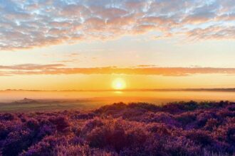 9f199ac0-17b9-11f1-9c22-99724fe2ca37-3