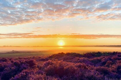 9f199ac0-17b9-11f1-9c22-99724fe2ca37-7