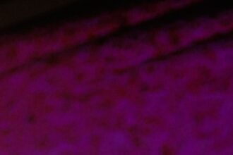 AVXCLI2H7VAXRG3S6UWEGLX5X4-2