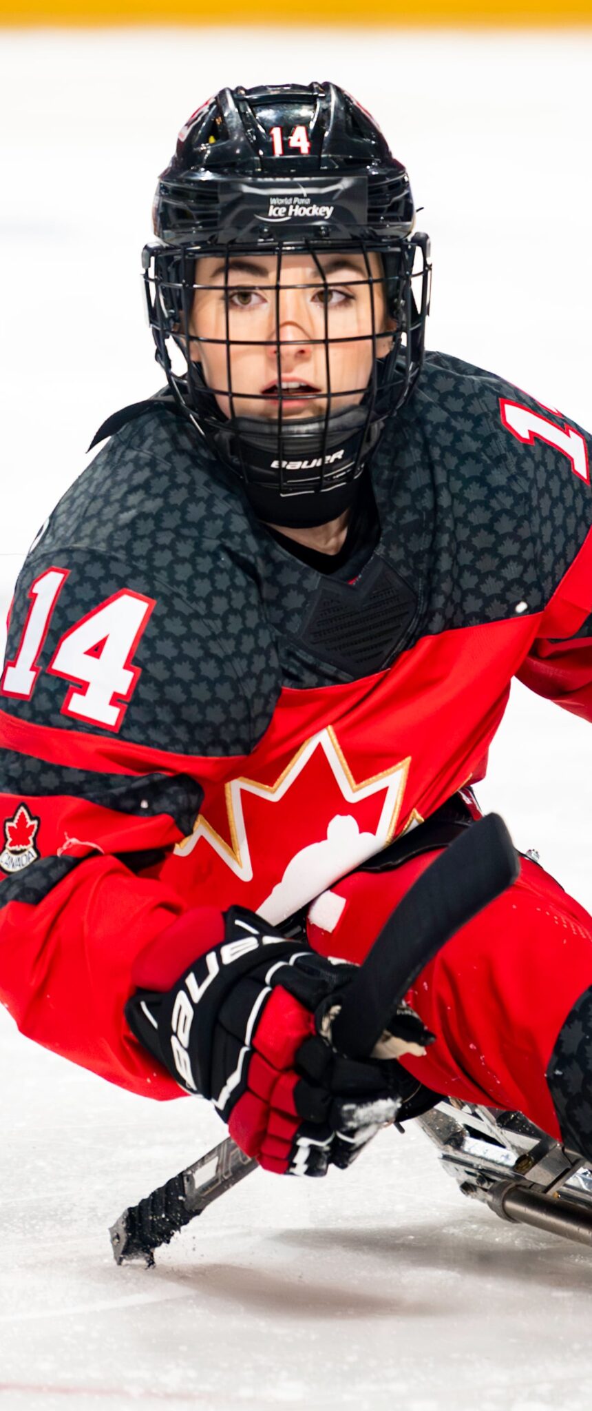 BB2WFVPO2ZHY3CGKUCPU5PKAFE-2