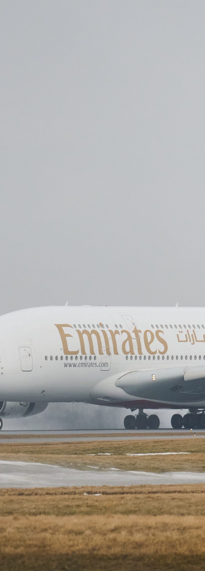 DD676GF6MZD7VES2WVGJDMHCQU