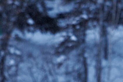 FDQZEZG3XFGM5J72FI6IWQKOGQ