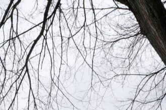 HJ7ZZWIYCJFQRPK6FKIVW2TREY