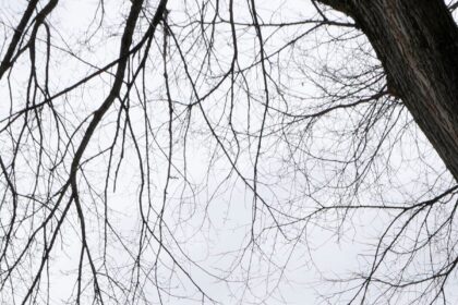 HJ7ZZWIYCJFQRPK6FKIVW2TREY