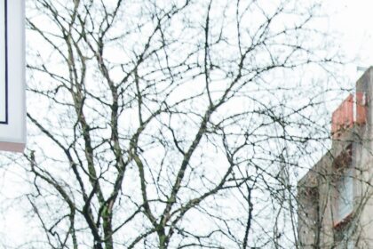 J3YY3UPUNNC4BP7ZIVNE4ABVPI-2