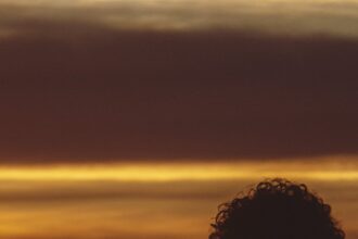 L2VH2U6MFFFDLEADBP3DLP5G2I-2