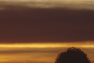 L2VH2U6MFFFDLEADBP3DLP5G2I-3