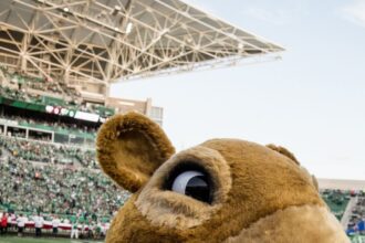 O4PHAGDXGNBV7IHF2ZKH6FK6VY-3