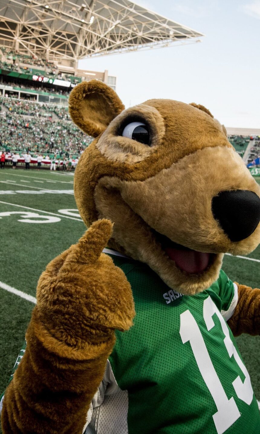 O4PHAGDXGNBV7IHF2ZKH6FK6VY