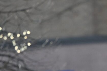 TNFZ4NMIO5G55B3XSK65TLCWII-6