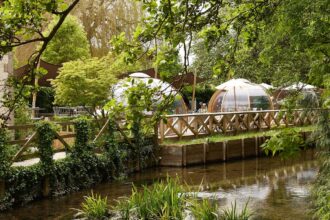 The-Crown-at-Wild-Thyme-Honey-Riverside-Terrace-3