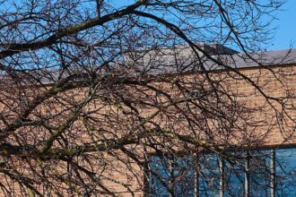 XK7L5ADGBBHW3IOYJTEP3LIMP4-2