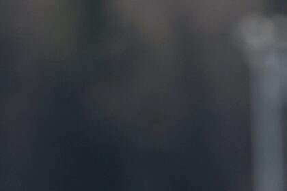 Z5S5XMQDRJHD3H2J6FZX7E2ZWE