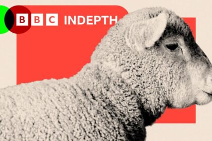 afe90dd0-17e2-11f1-9120-a910fc22c6ac-7