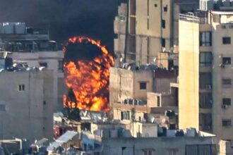 e9c39a10-1649-11f1-9120-a910fc22c6ac-6