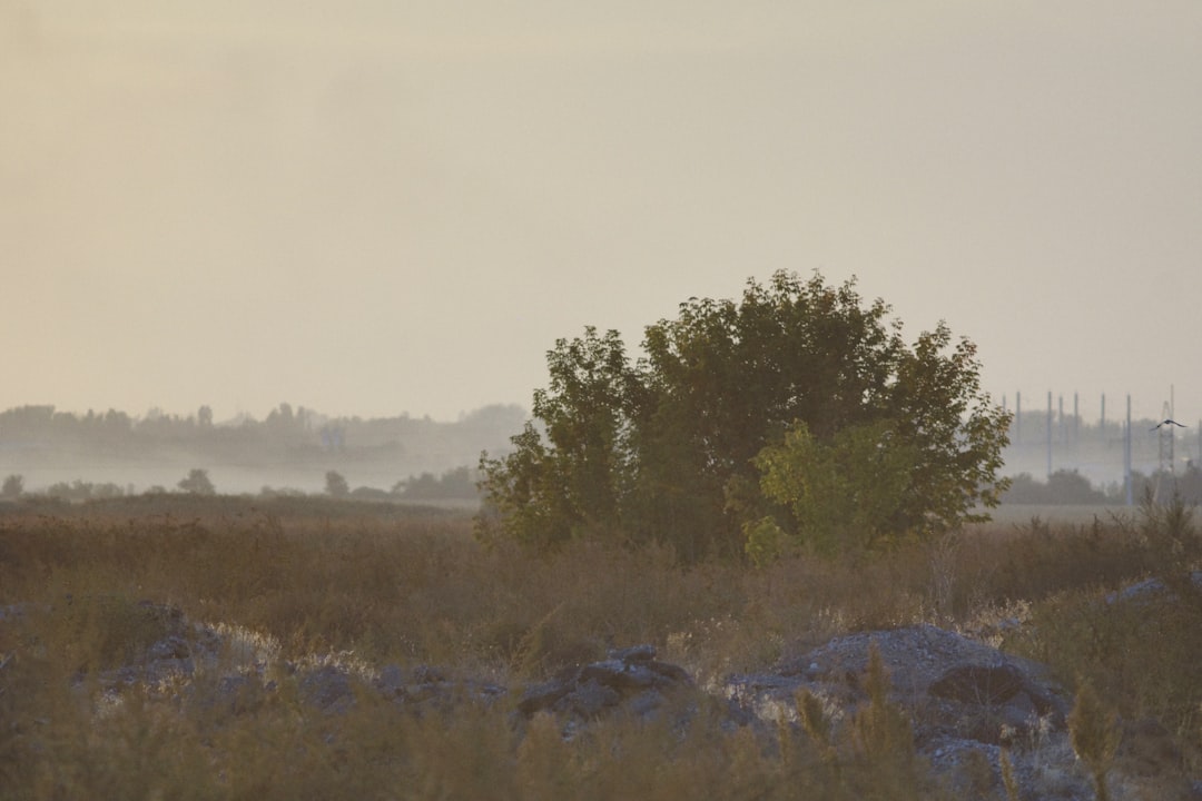 The Nature of Israel’s Strikes