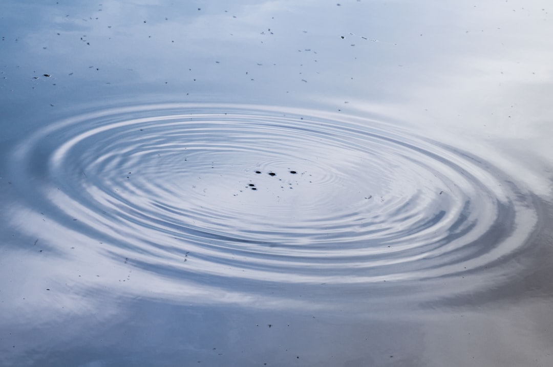 The Ripple Effect of Advocacy