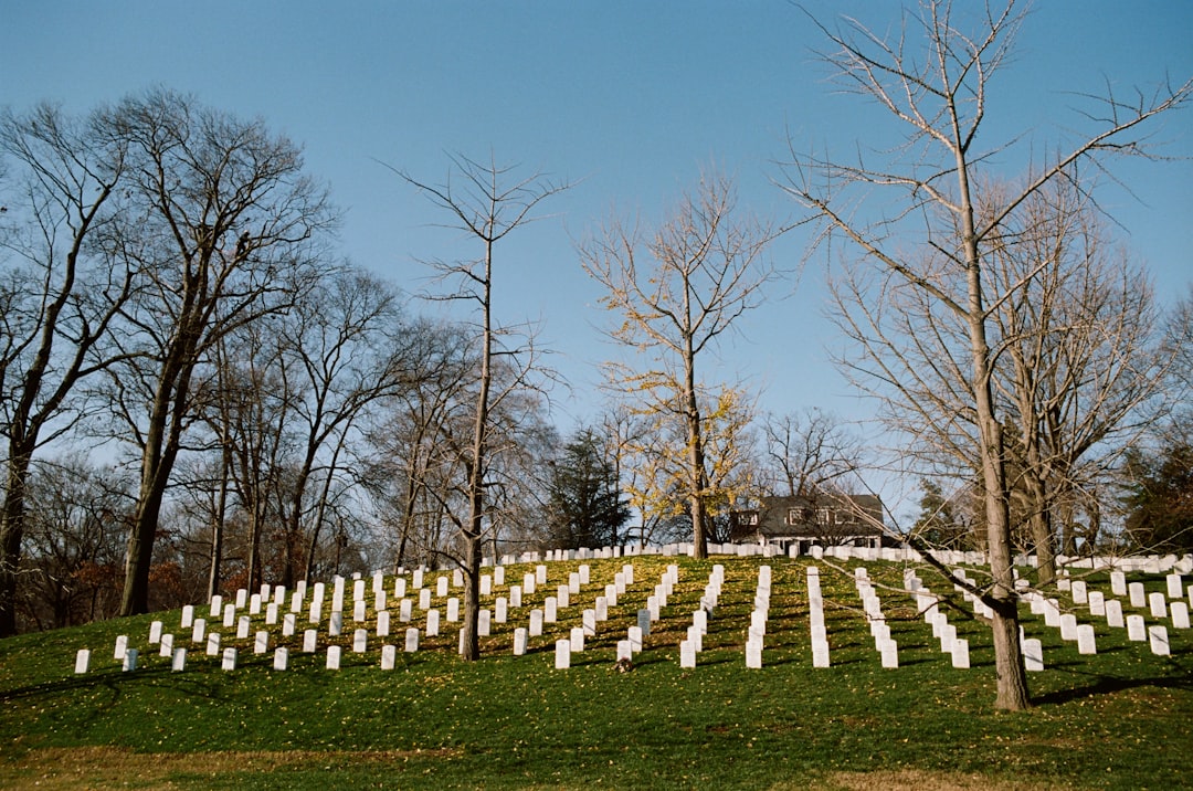 Honouring the Sacrifice