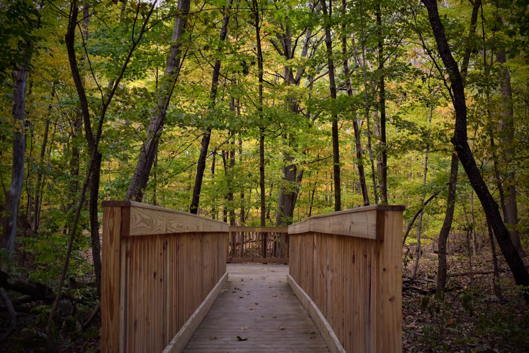The Path Ahead