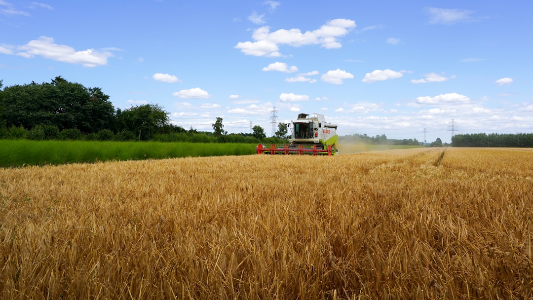 Agricultural Exports at Risk