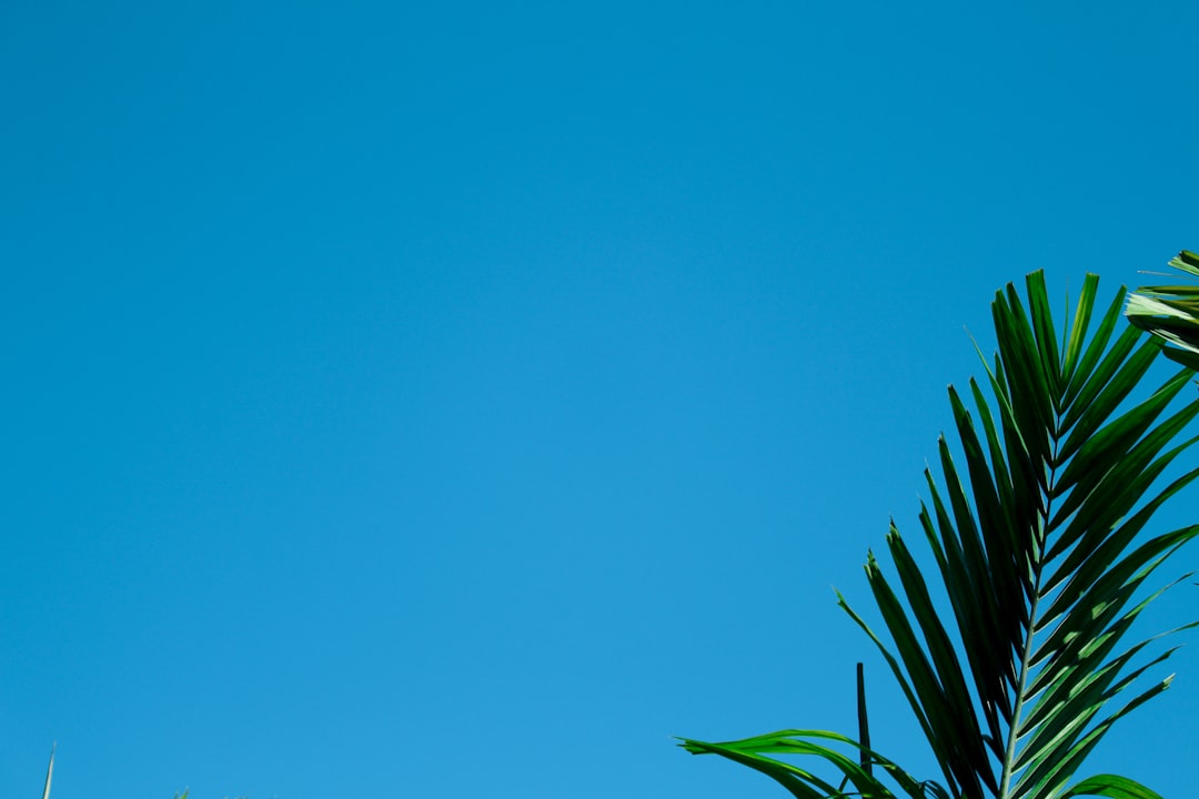 Unresolved Health Implications for Infants