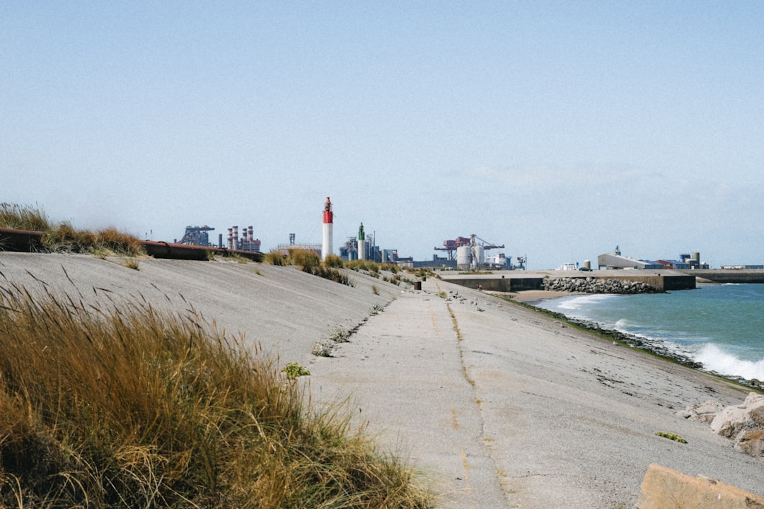 The Complex Landscape of Global Oil Markets