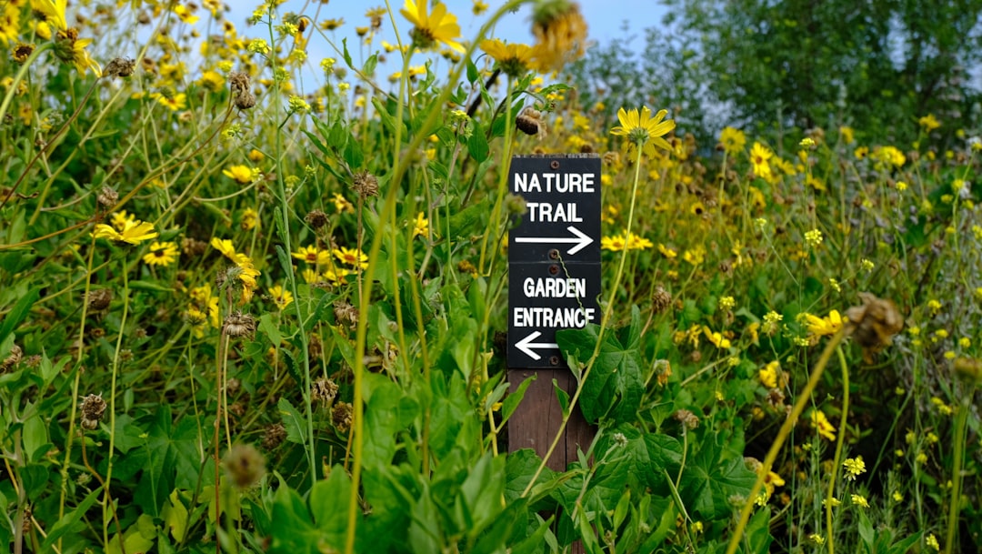 Local Concerns and Environmental Impact