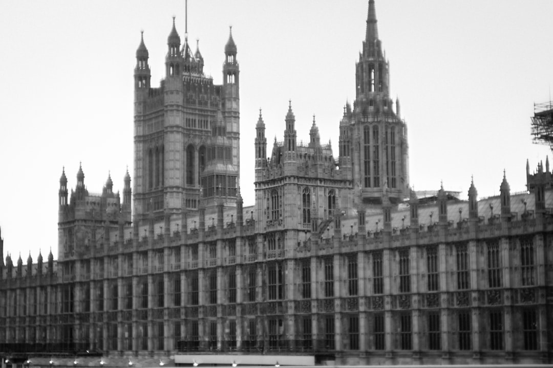 Calls for Parliamentary Oversight