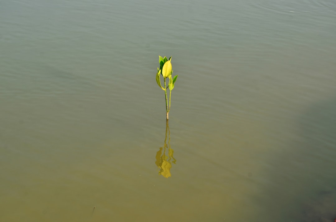 A Future of Sustainability